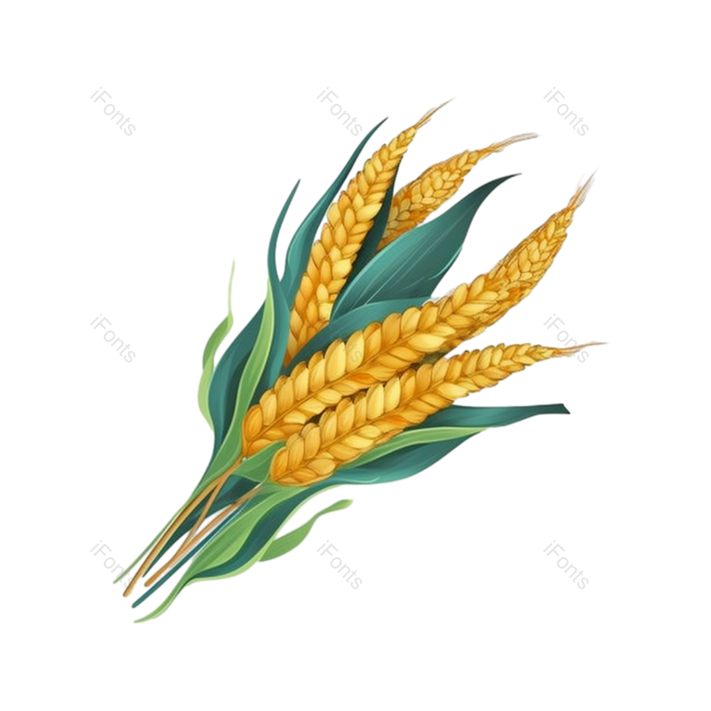 叶子图片,芒种元素,元素PNG,秋天免抠素材